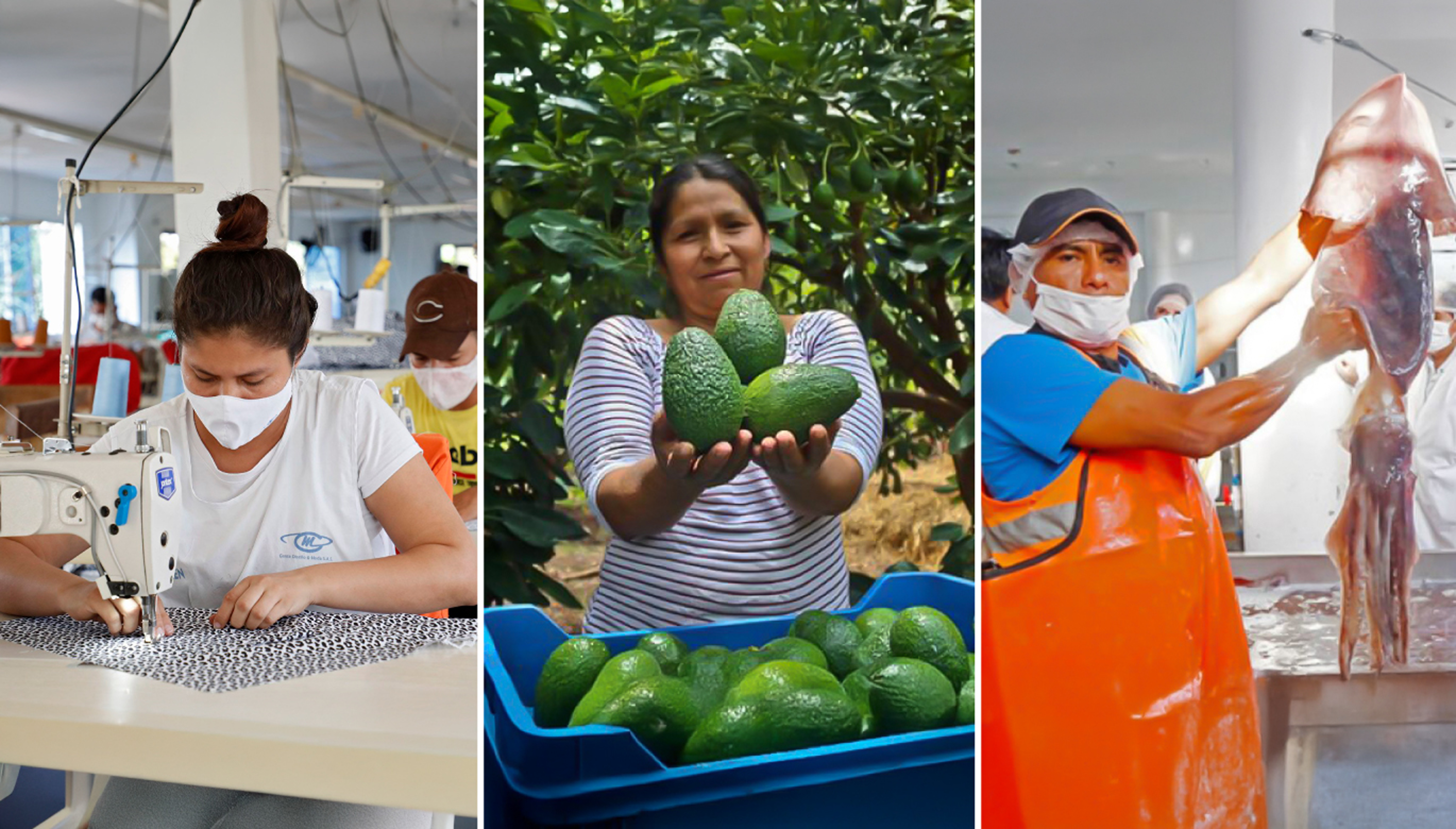 Target Audience Analysis